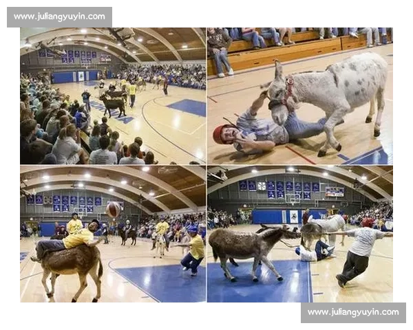 波兰菲古拉比赛震撼上演展现力量与美感的极致较量